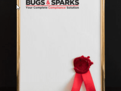 Bugs and Sparks