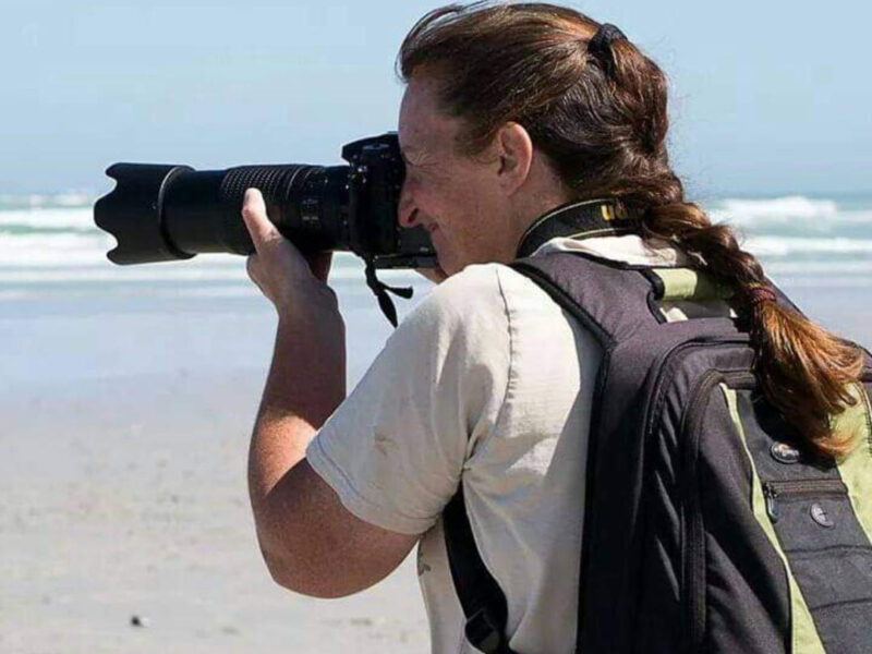 Caroline Hartley Photography