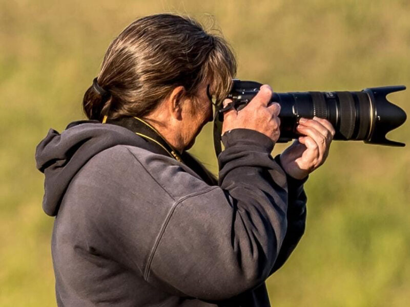 Caroline Hartley Photography