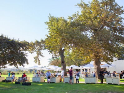 Chas Everitt Properties