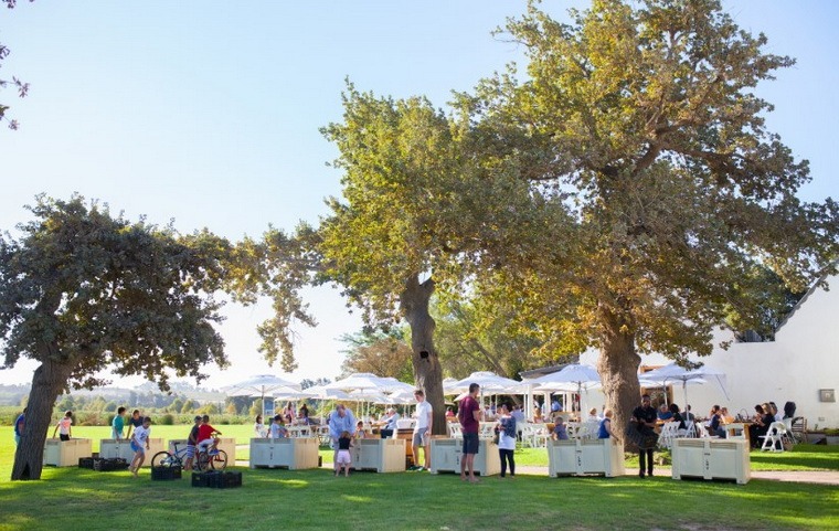 Chas Everitt Properties