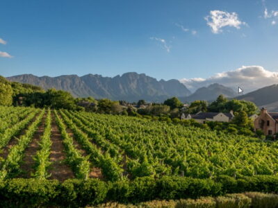 Chas Everitt Properties