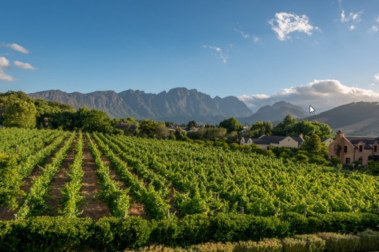 Chas Everitt Properties