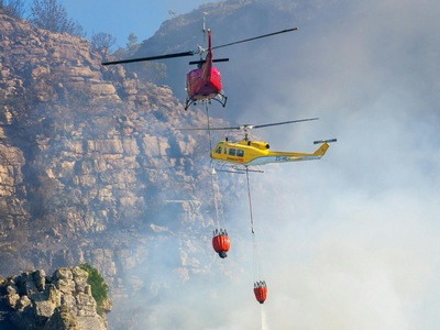Emergency Services
