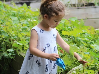 Garden Services
