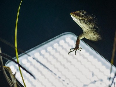 Security Light Installers