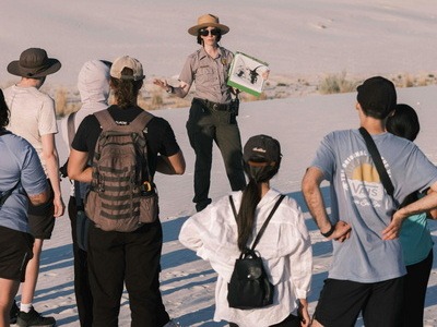 Tour Guides