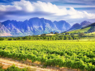 RU Africa Tours - Russian Speaking Tour Guide