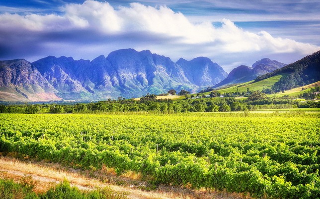 RU Africa Tours - Russian Speaking Tour Guide