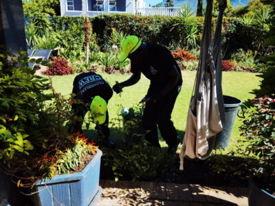 Cloverleaf Gardening and Maintenance Services