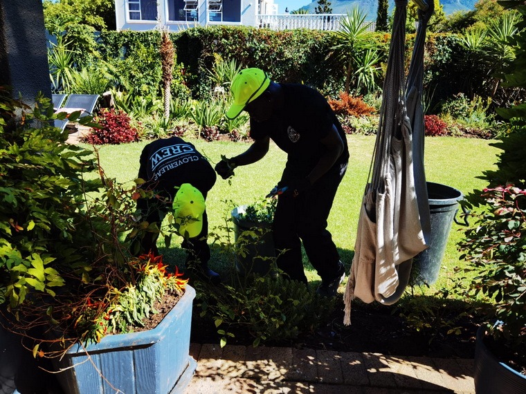 Cloverleaf Gardening and Maintenance Services