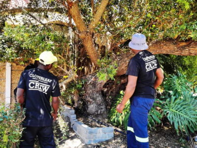 Cloverleaf Gardening and Maintenance Services