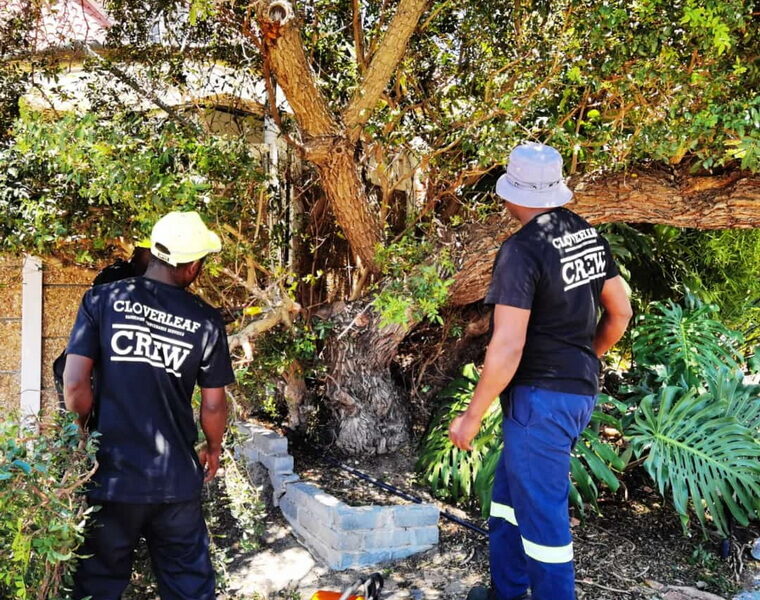 Cloverleaf Gardening and Maintenance Services