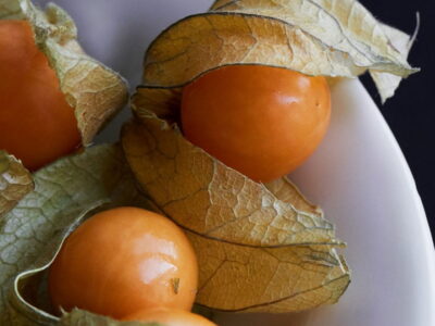 Oom Piets Garden Services