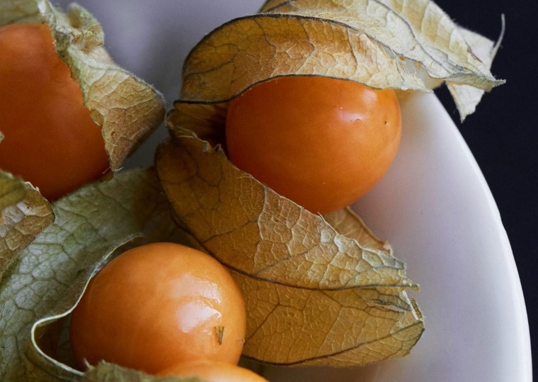 Oom Piets Garden Services