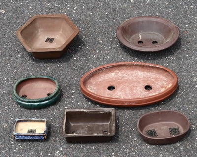 Various Bonsai Pots