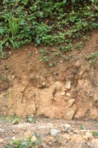 Amending Clay Soil