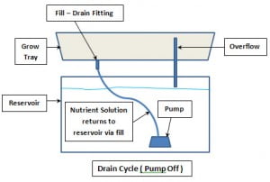 Hydroponics Ebb and Flow